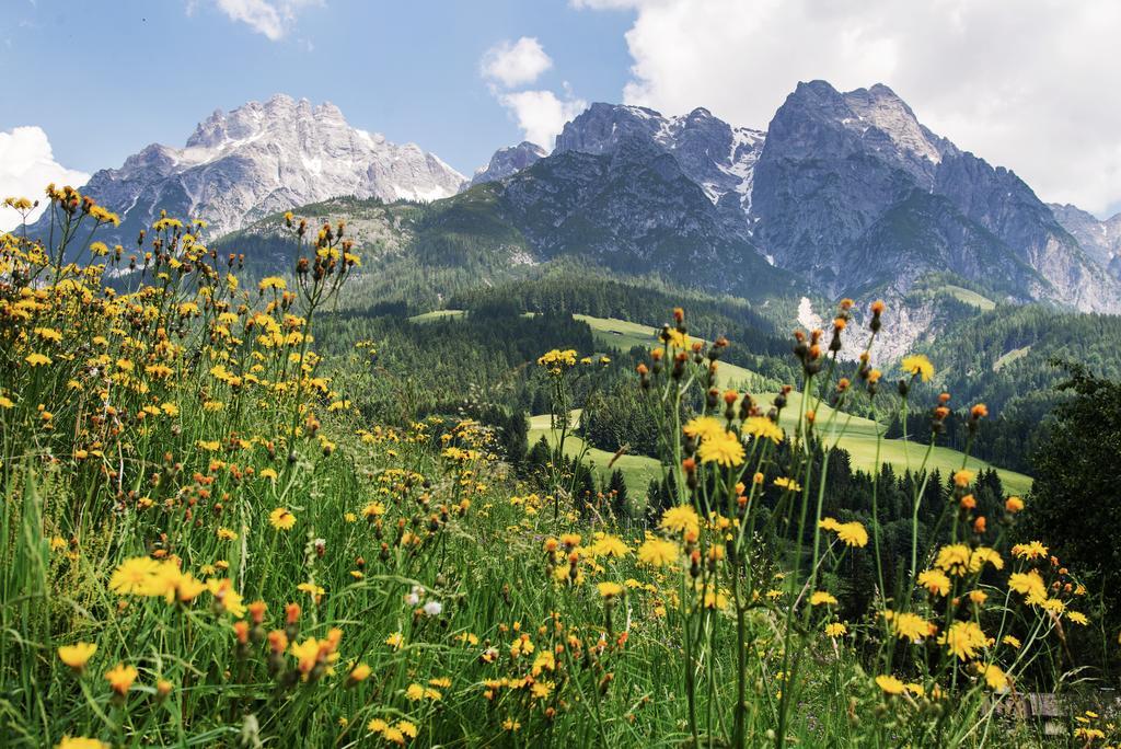 Alpin Lodge Leogang By Alpin Rentals Экстерьер фото