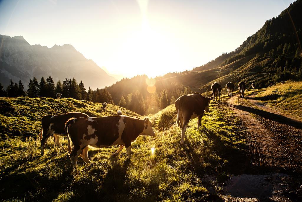 Alpin Lodge Leogang By Alpin Rentals Экстерьер фото